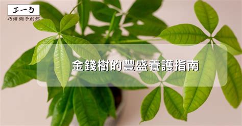 會 增值的 樹|金錢樹的豐盛養護指南：吸引財富與繁榮 